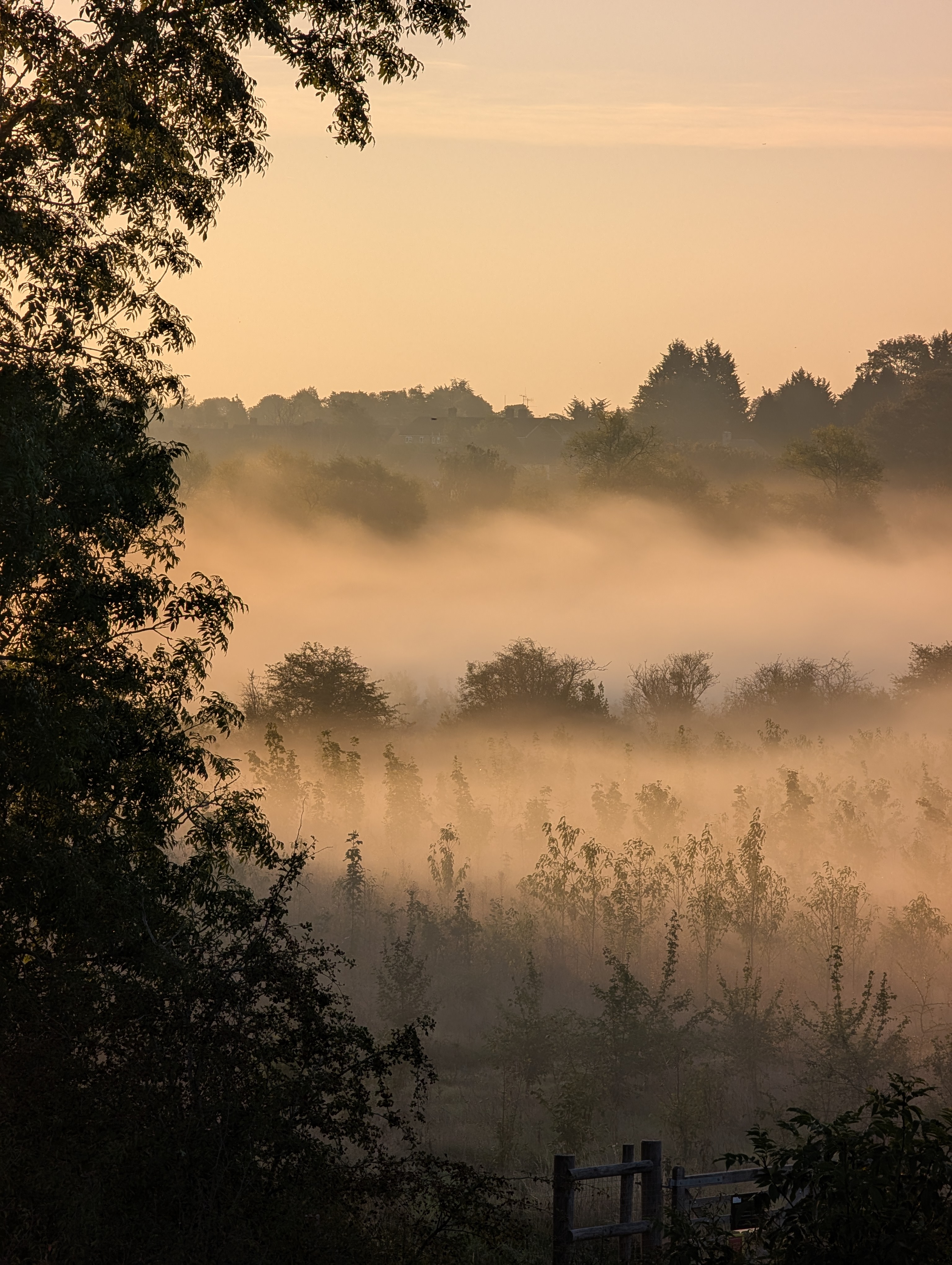 Morning mist over fields in Woodstock, Oxfordshire